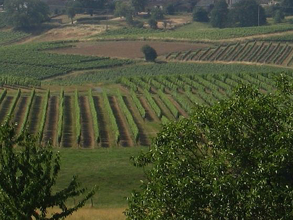 Château Trejaut