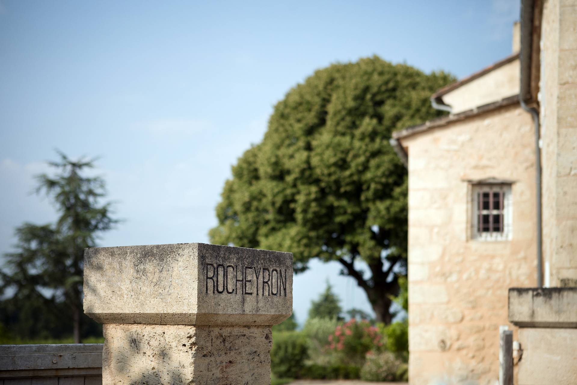 Château Rocheyron — photo 2