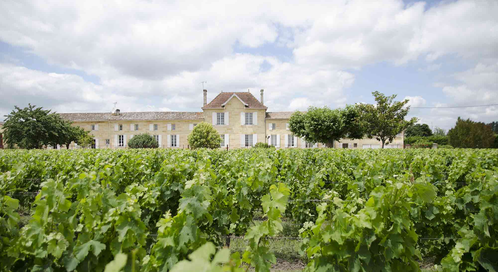 Château de la Cour (Vignonet) - Saint-Émilion