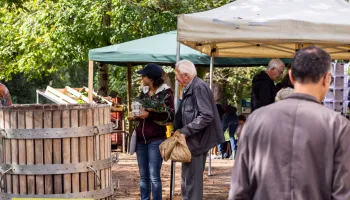 Marché fermier du 15 octobre 2022 au Château le Parvis