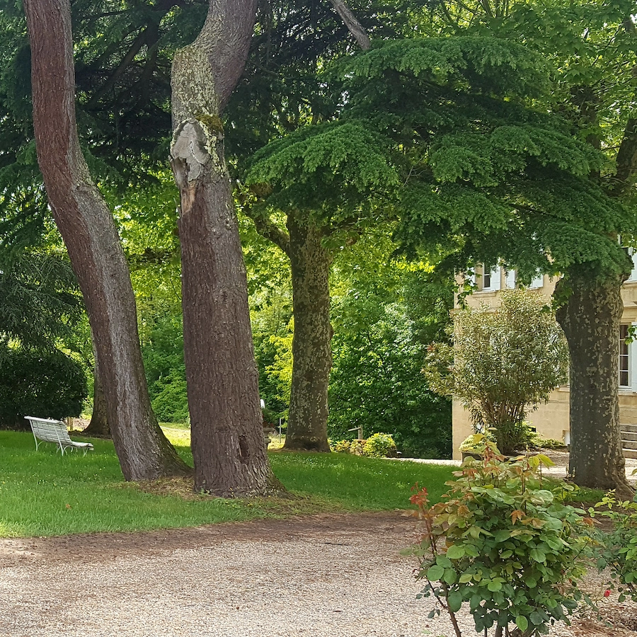 Château Cantelaube — photo 4