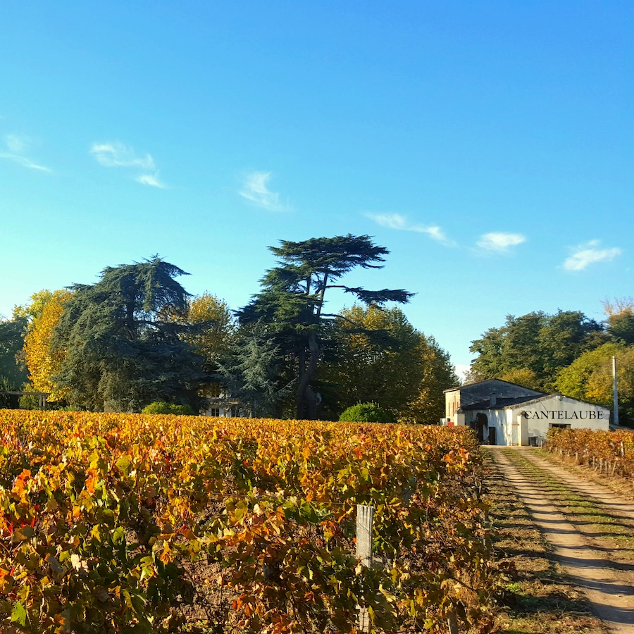 Château Cantelaube