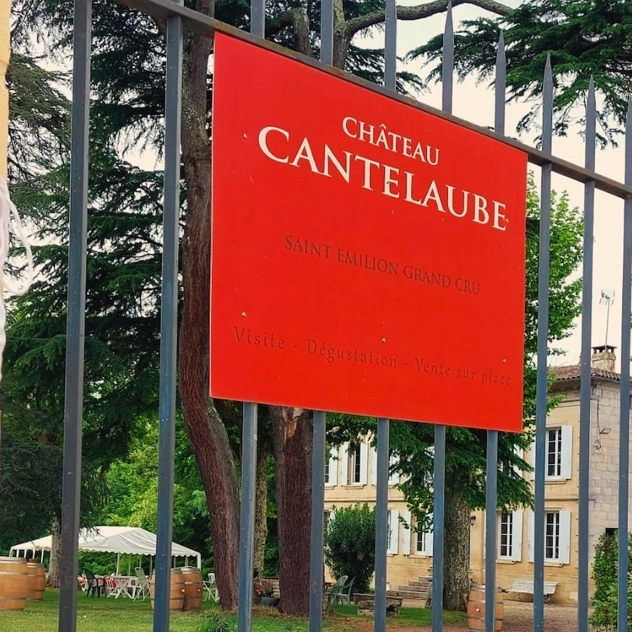 Château Cantelaube — photo 3
