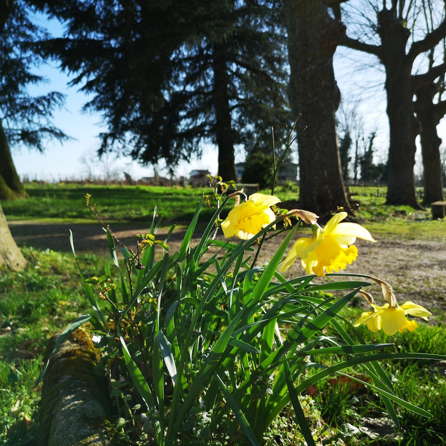 Château Cantelaube — photo 5