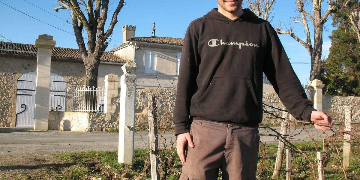 Château Tour Bicheau - Graves