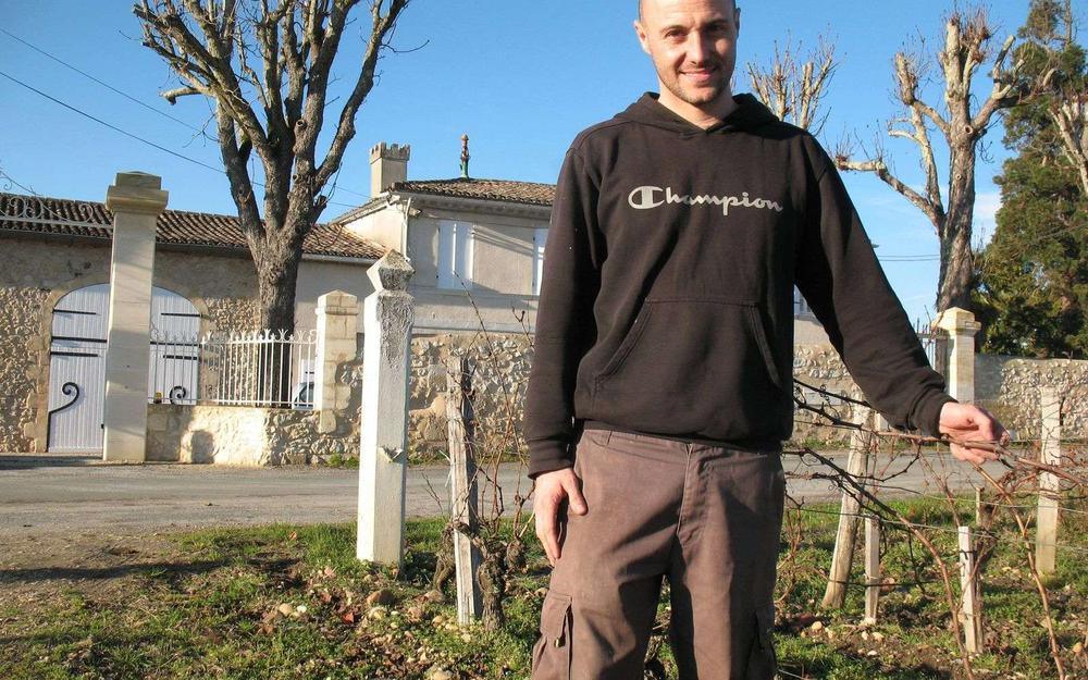 Patrick Daubas : « Pour faire un grand vin, il faut d’abord compter sur un grand raisin ».