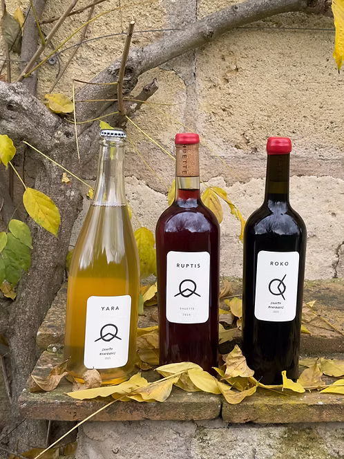 DISCOVER SHUETTE