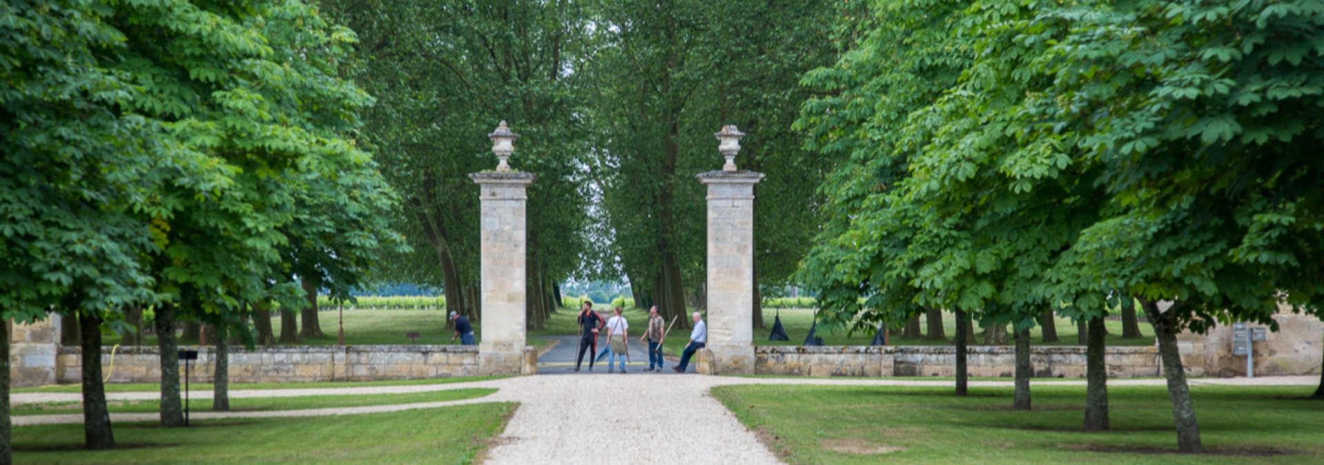 Château de Sales — photo 4