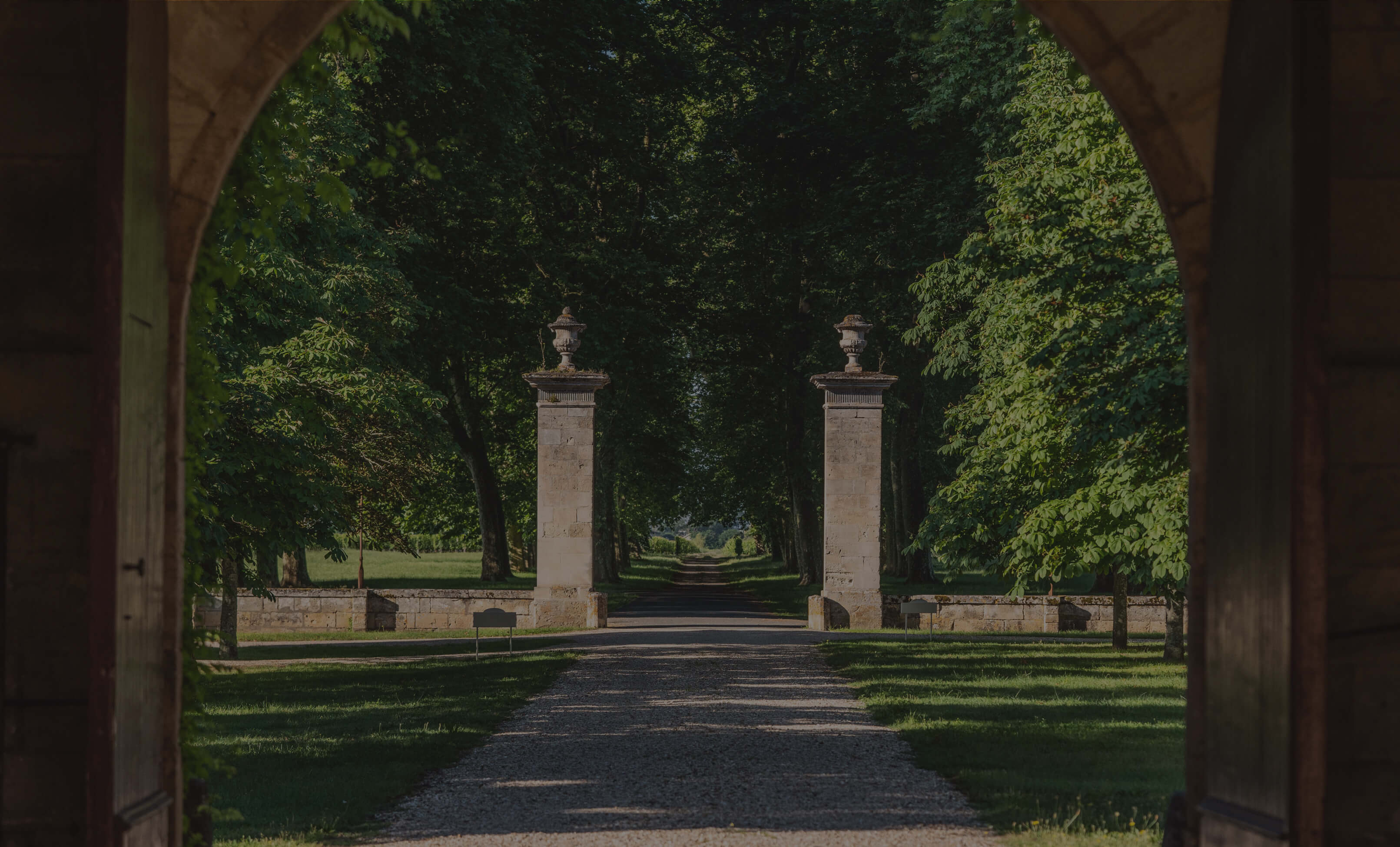 Château de Sales — photo 8