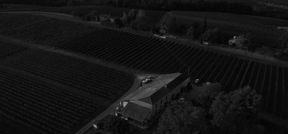 Château Haut-Pradot — photo 6