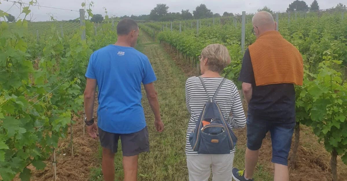 Promenons-nous dans les vignes (atelier)