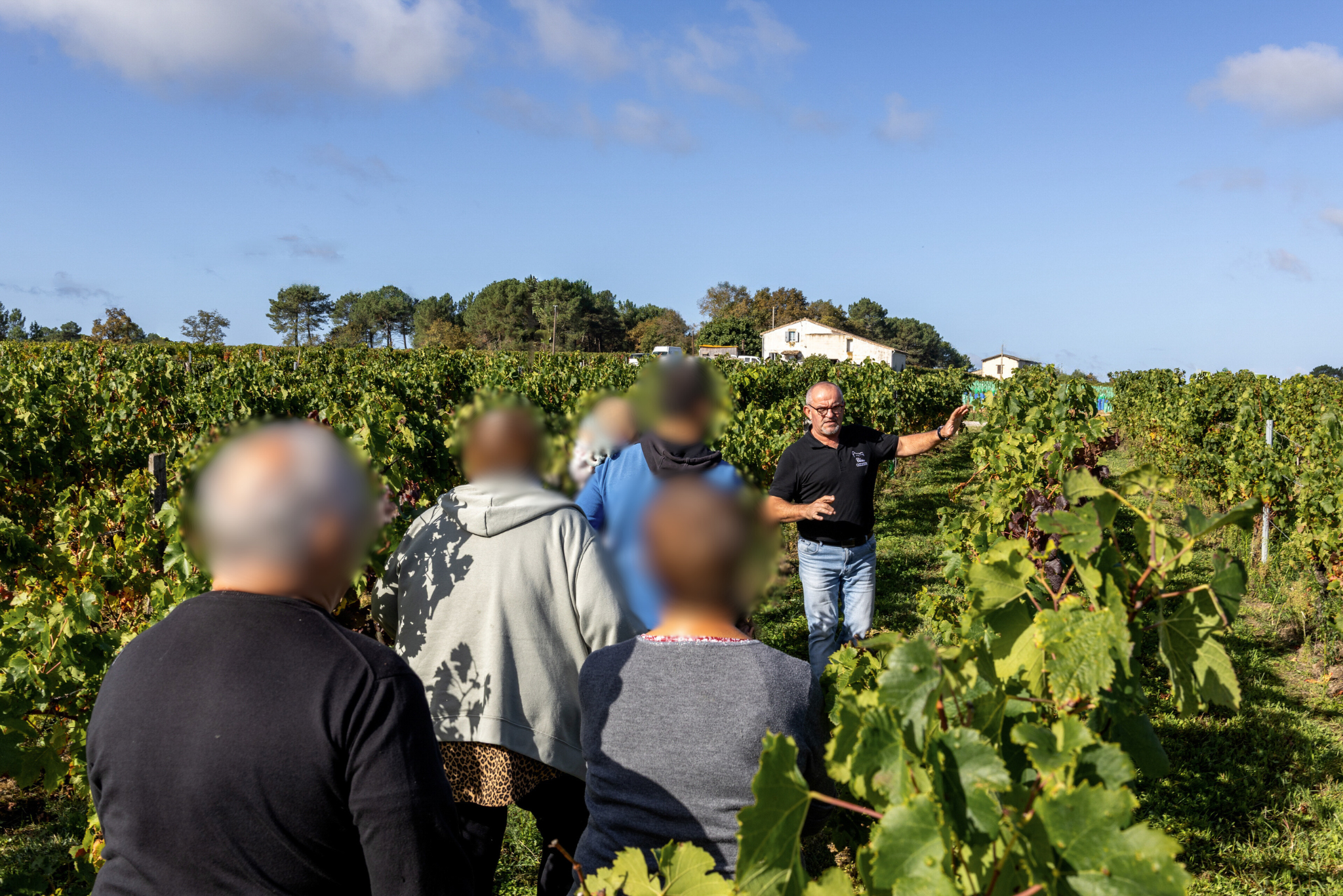 Visite du vignoble & dégustation 🍇