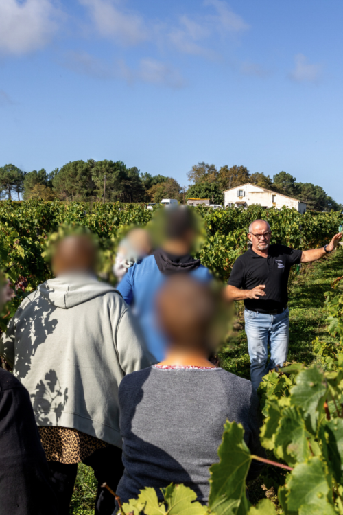 Visite du vignoble & dégustation 🍇