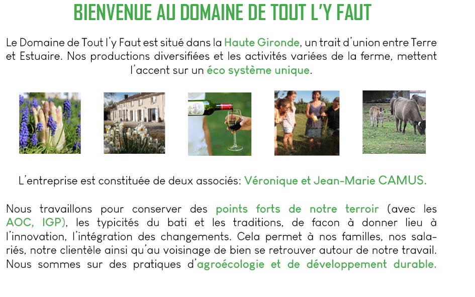 domaine de tout l'y faut