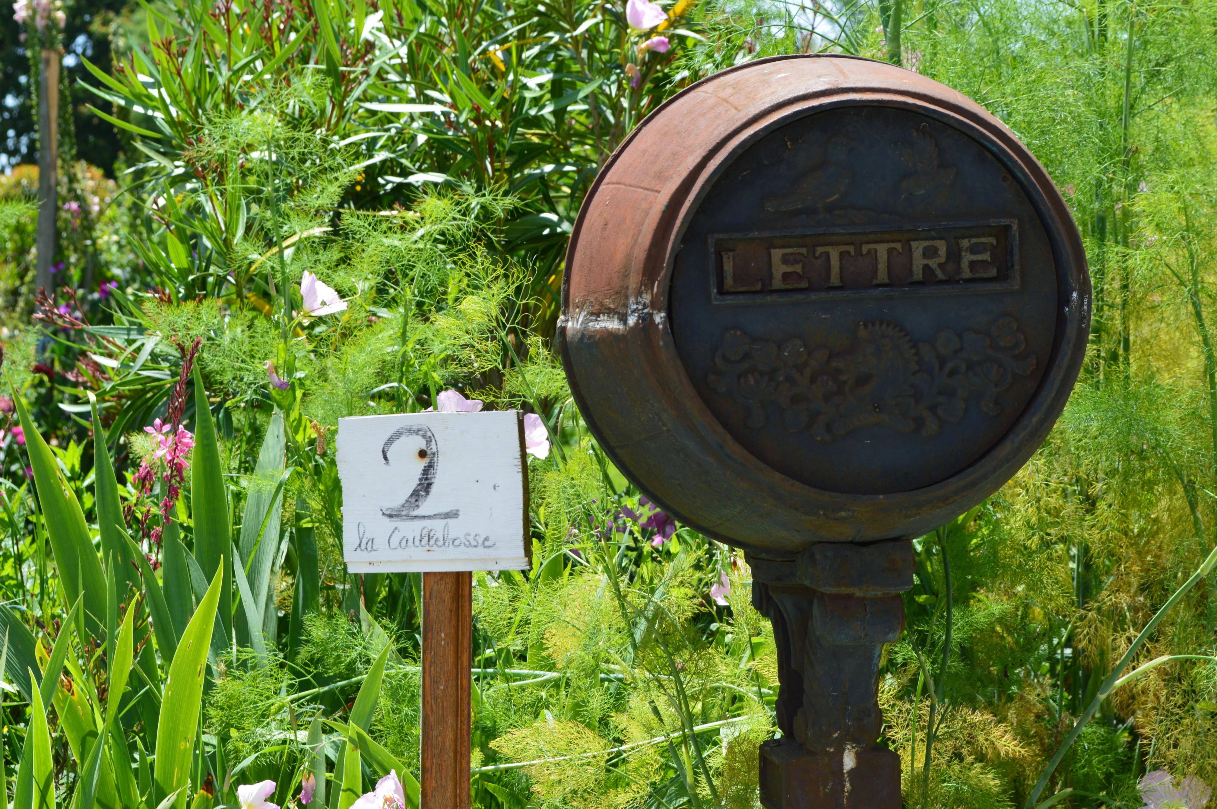 Château Tour Bel-Air — photo 3