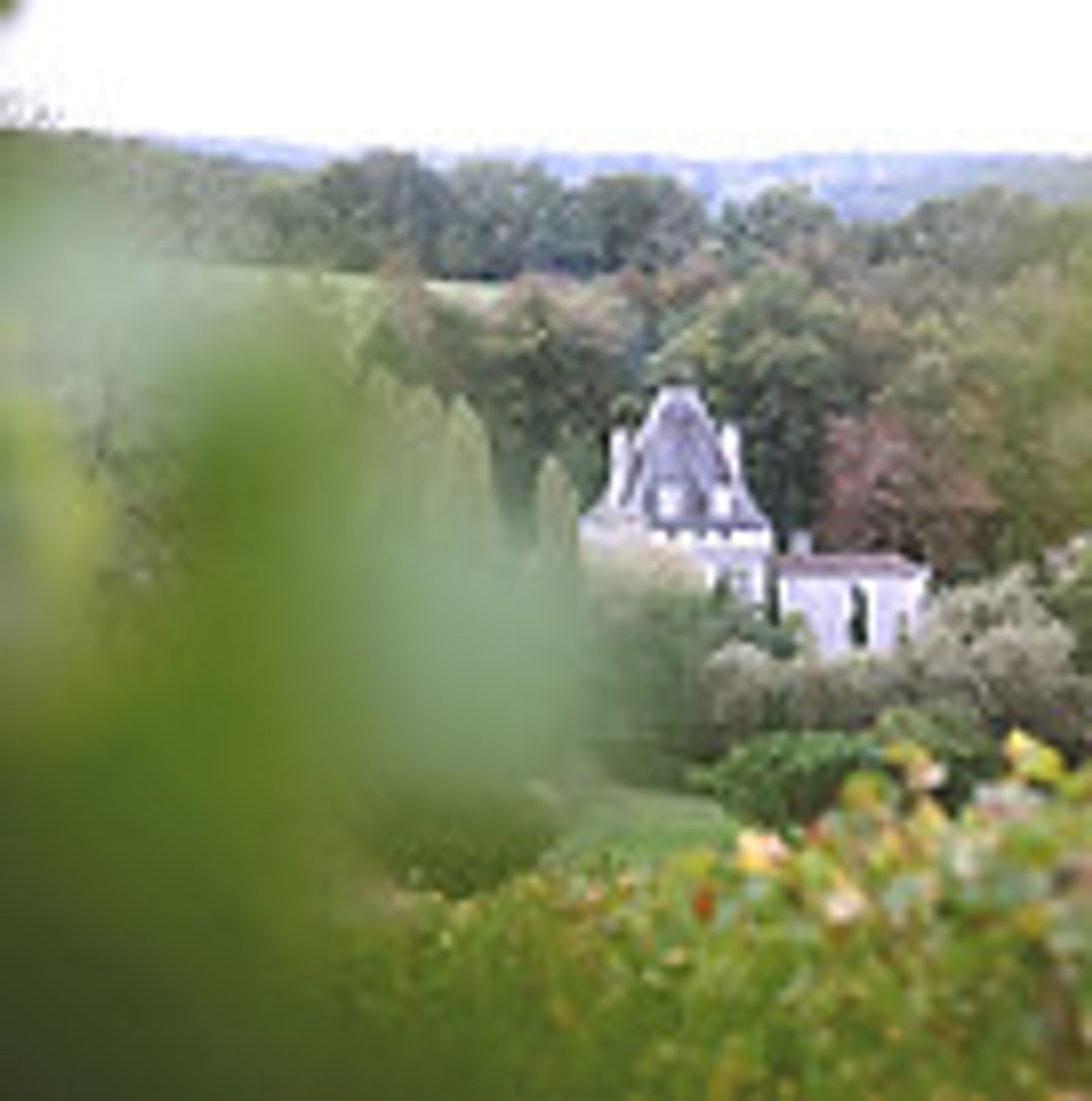IMG_87702.jpg