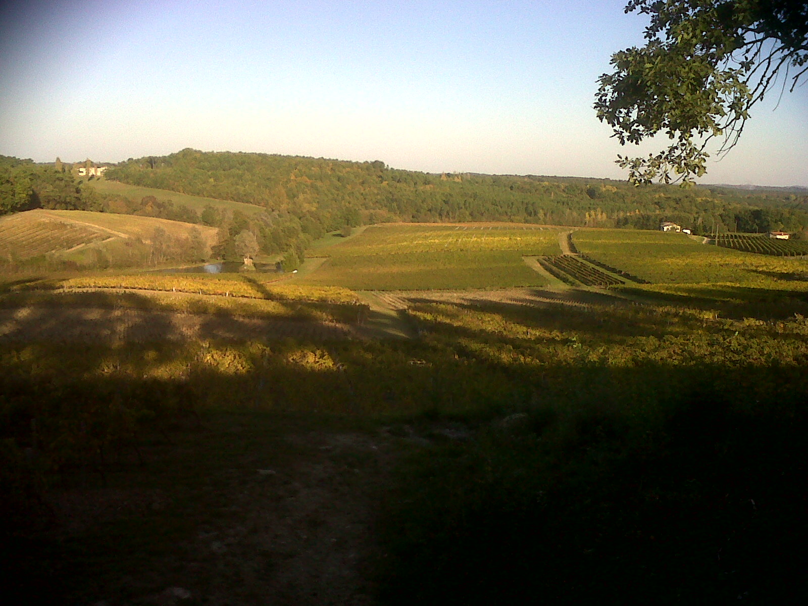 Château Lamartine — photo 4