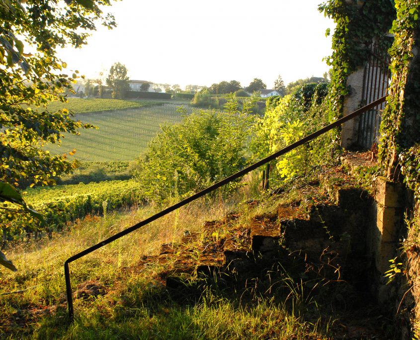 Château Belles-Graves — photo 10