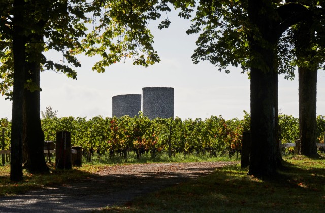 Château Plain Point — photo 8