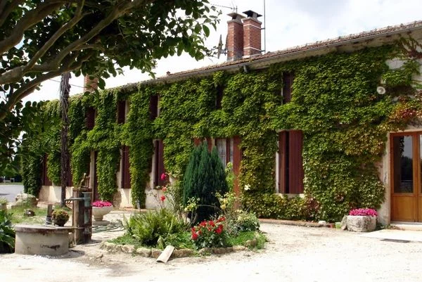 Château Gadet-Terrefort — photo 2