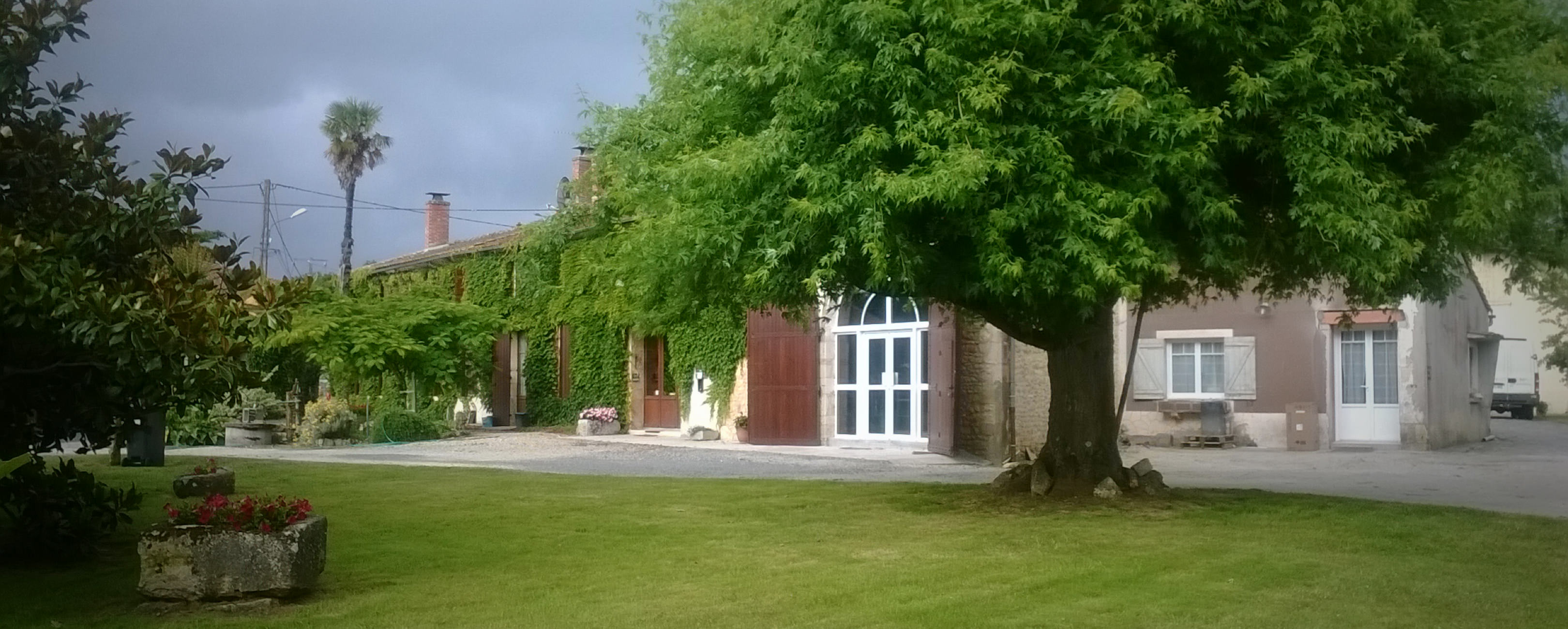Château Gadet-Terrefort - Médoc