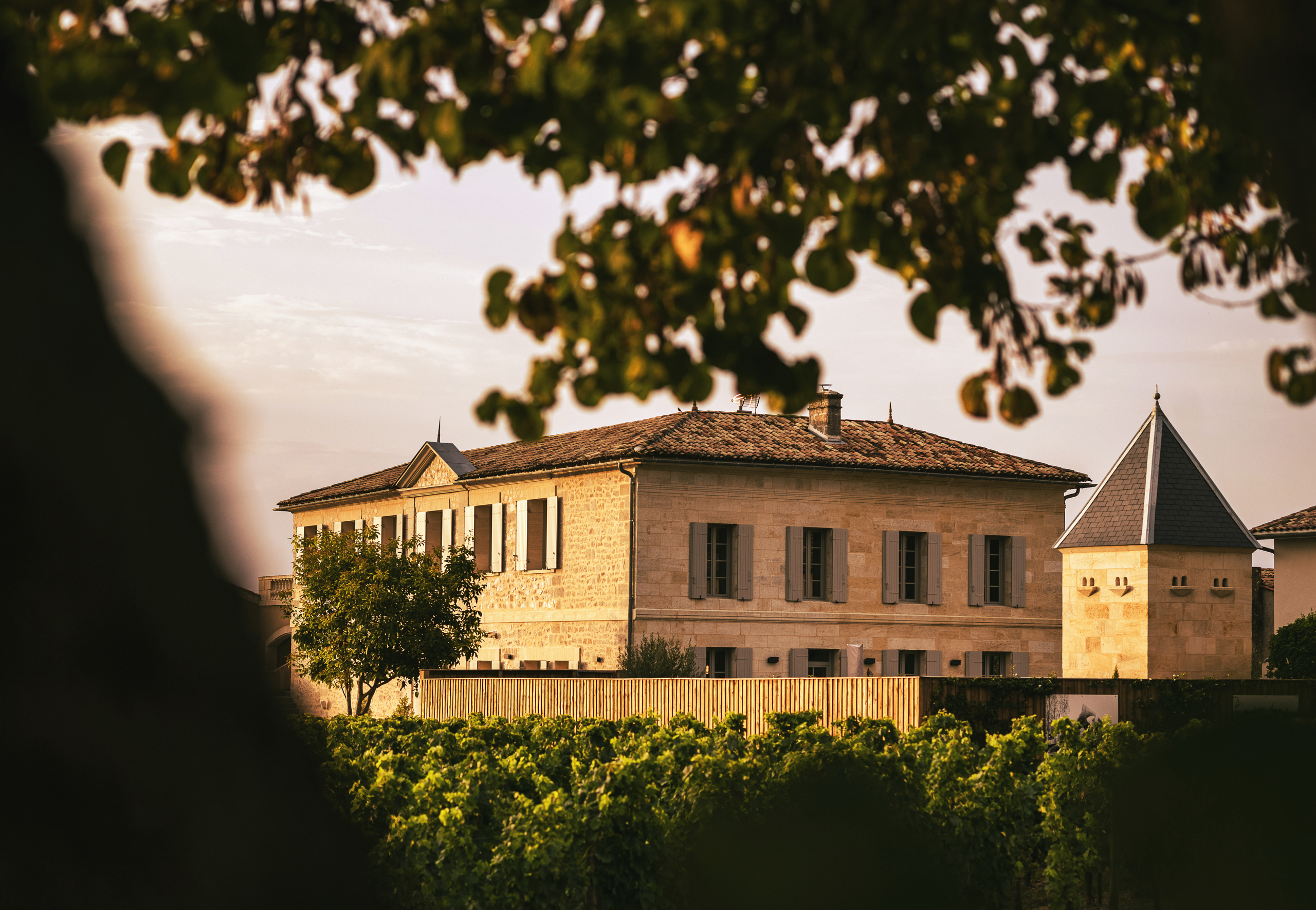 Château le Châtelet — photo principale