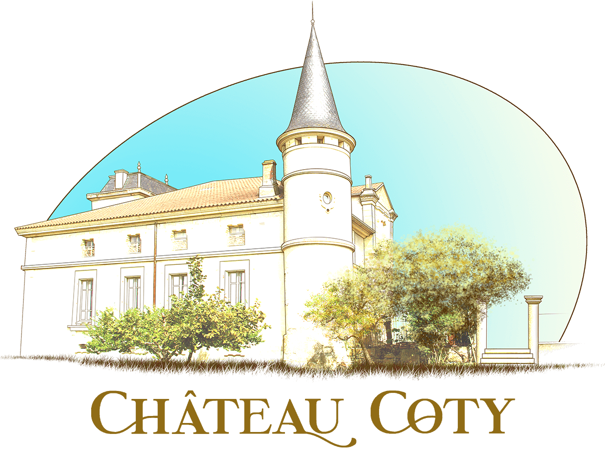 Château Coty — photo 5