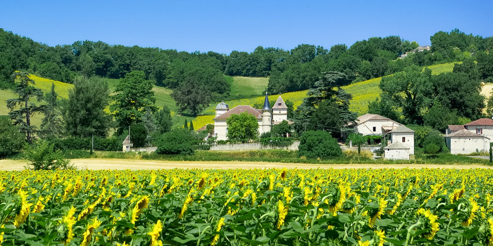 Château Coty — photo 9
