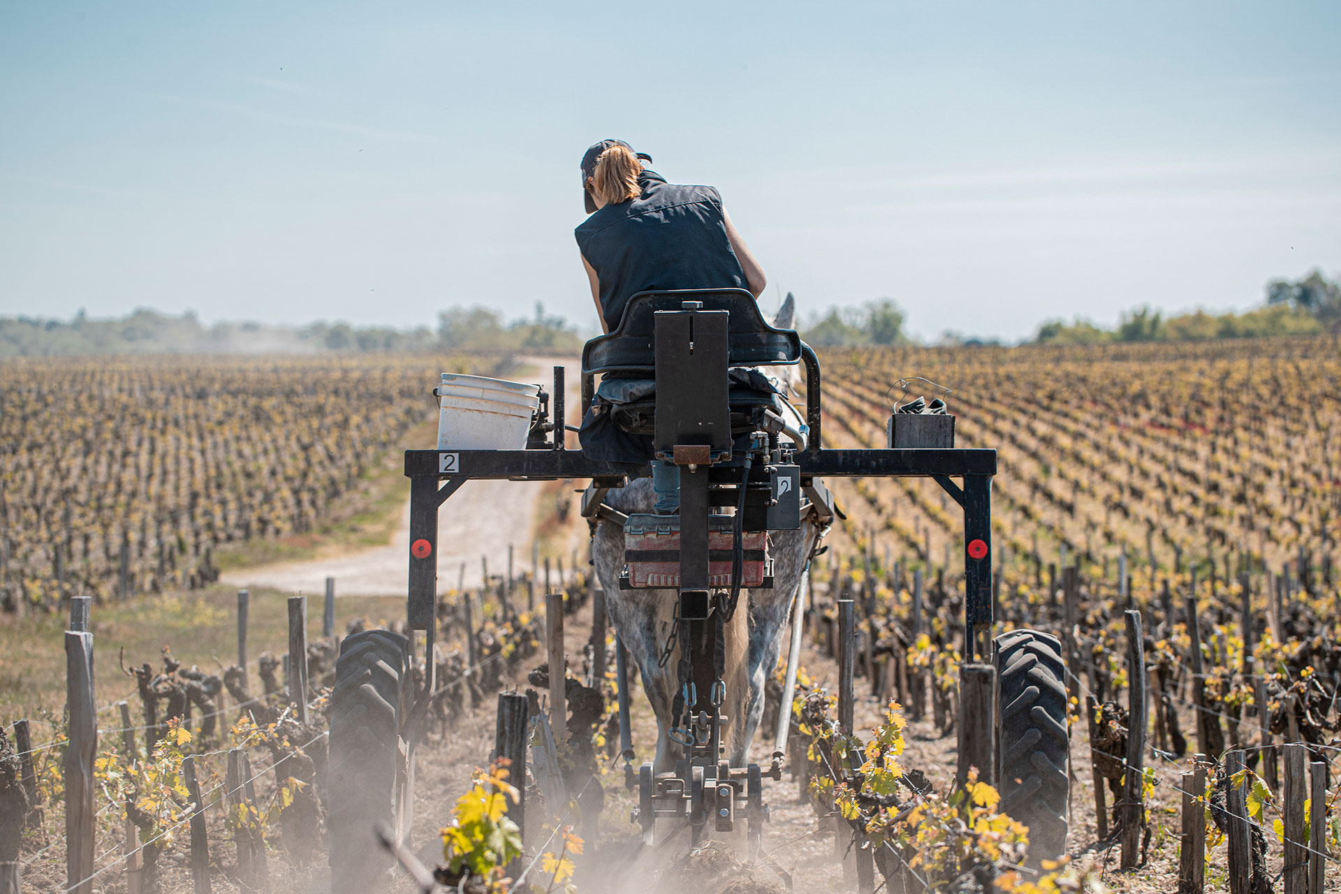 Château Pontet-Canet — photo 9