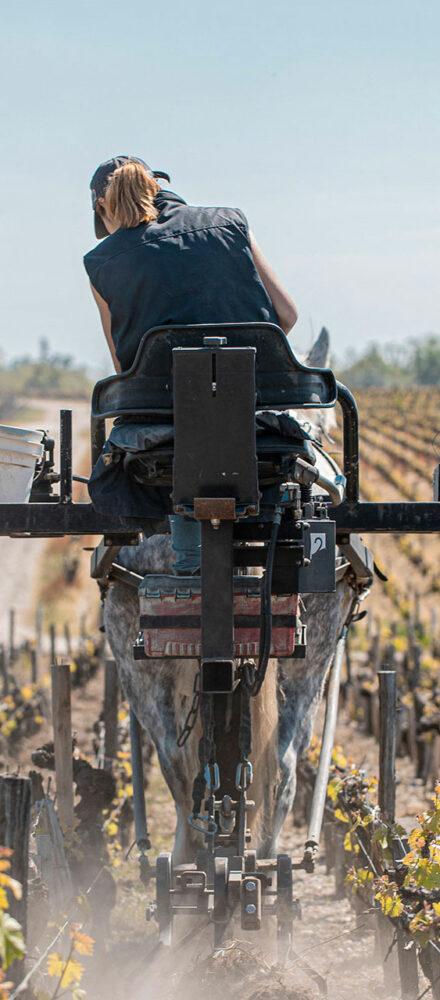 Château Pontet-Canet — photo 8