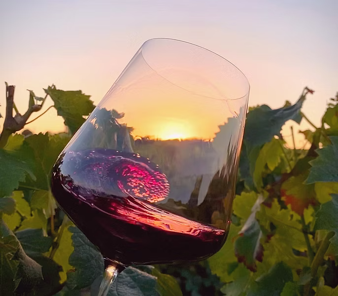 Chateau Meaume drinking