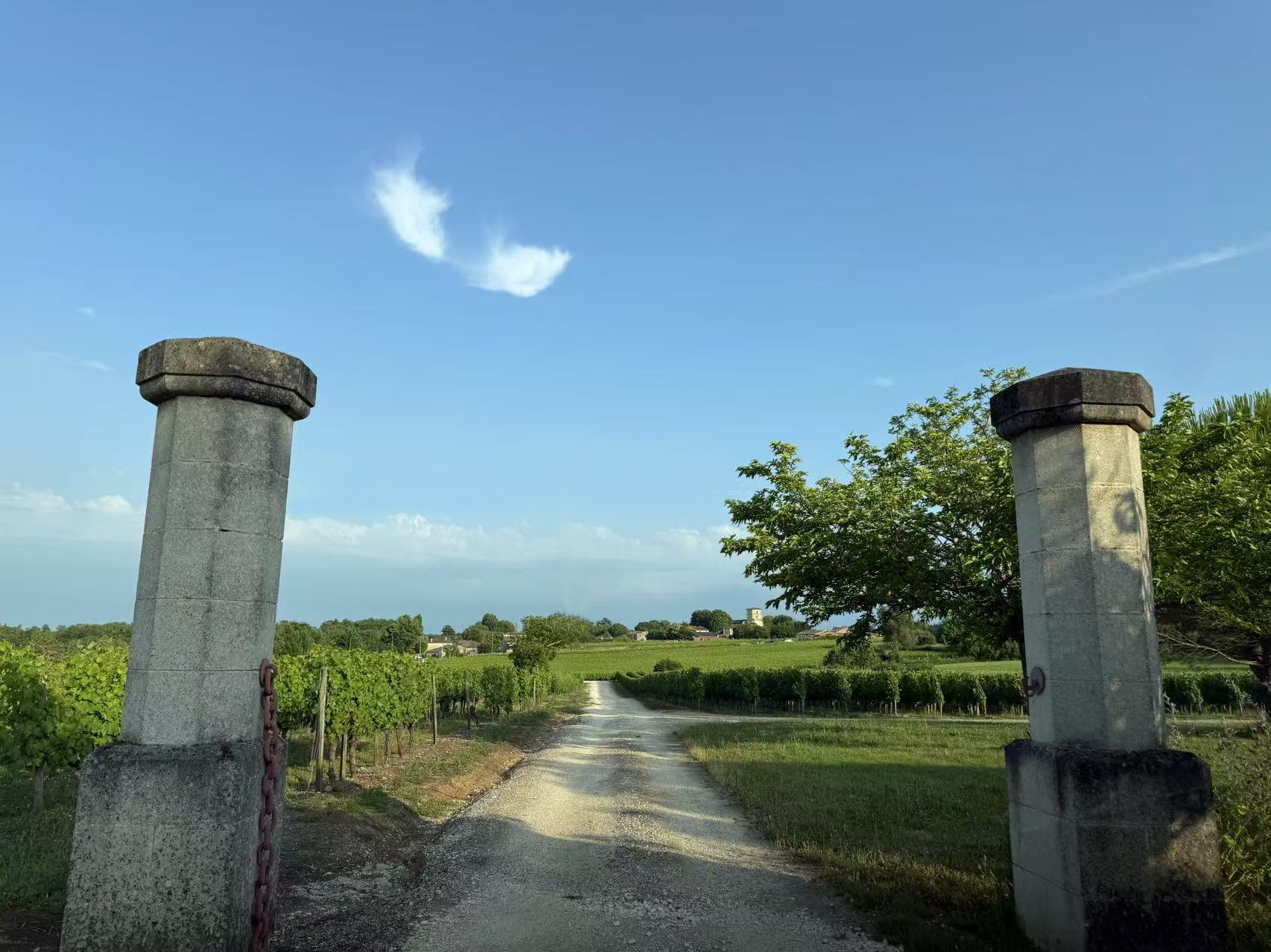 Château Mongiron 1