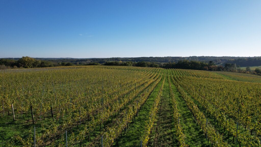 Château Lafite Monteil — photo 2
