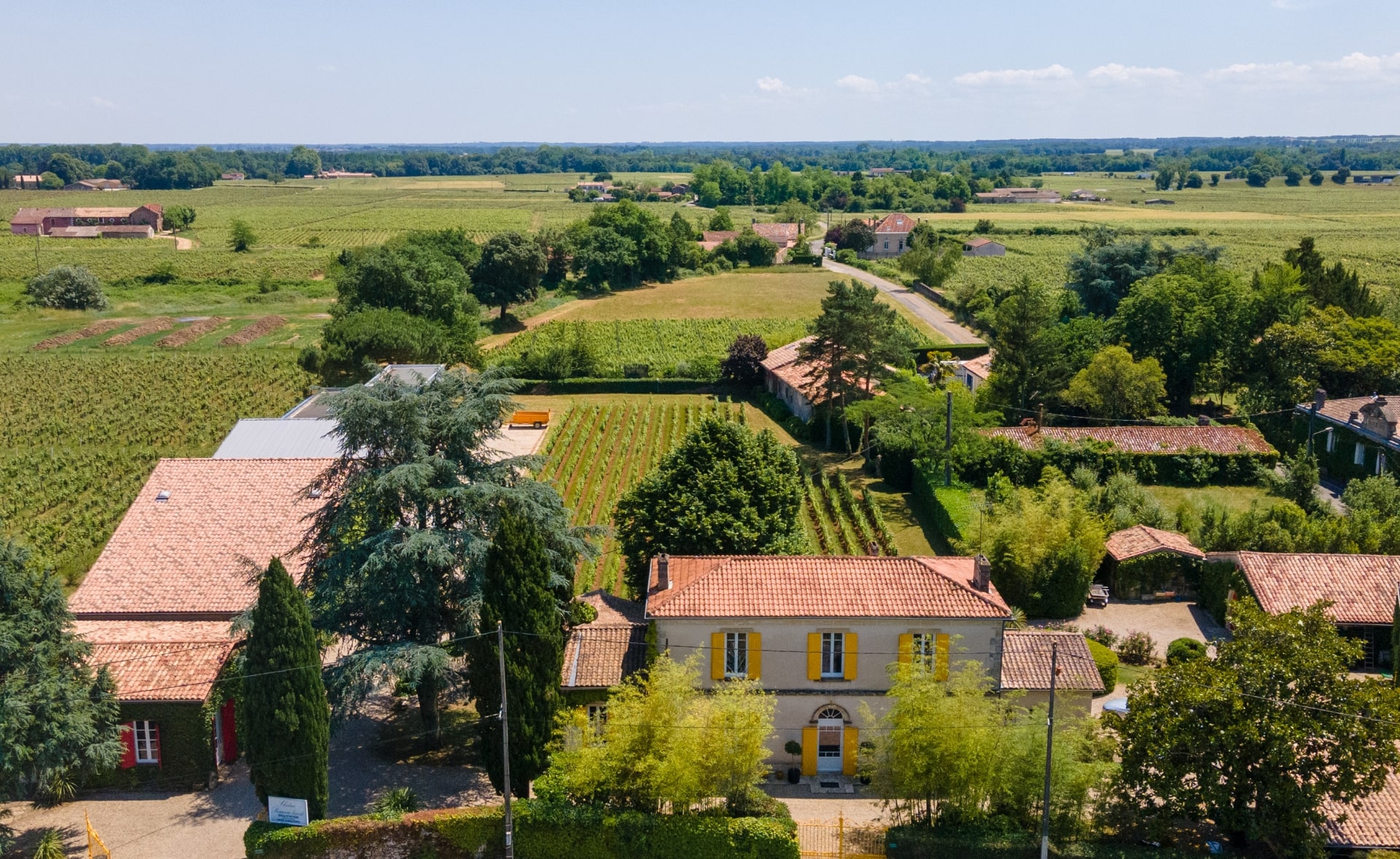 Château Herve Dubourdieu et Fils - Barsac