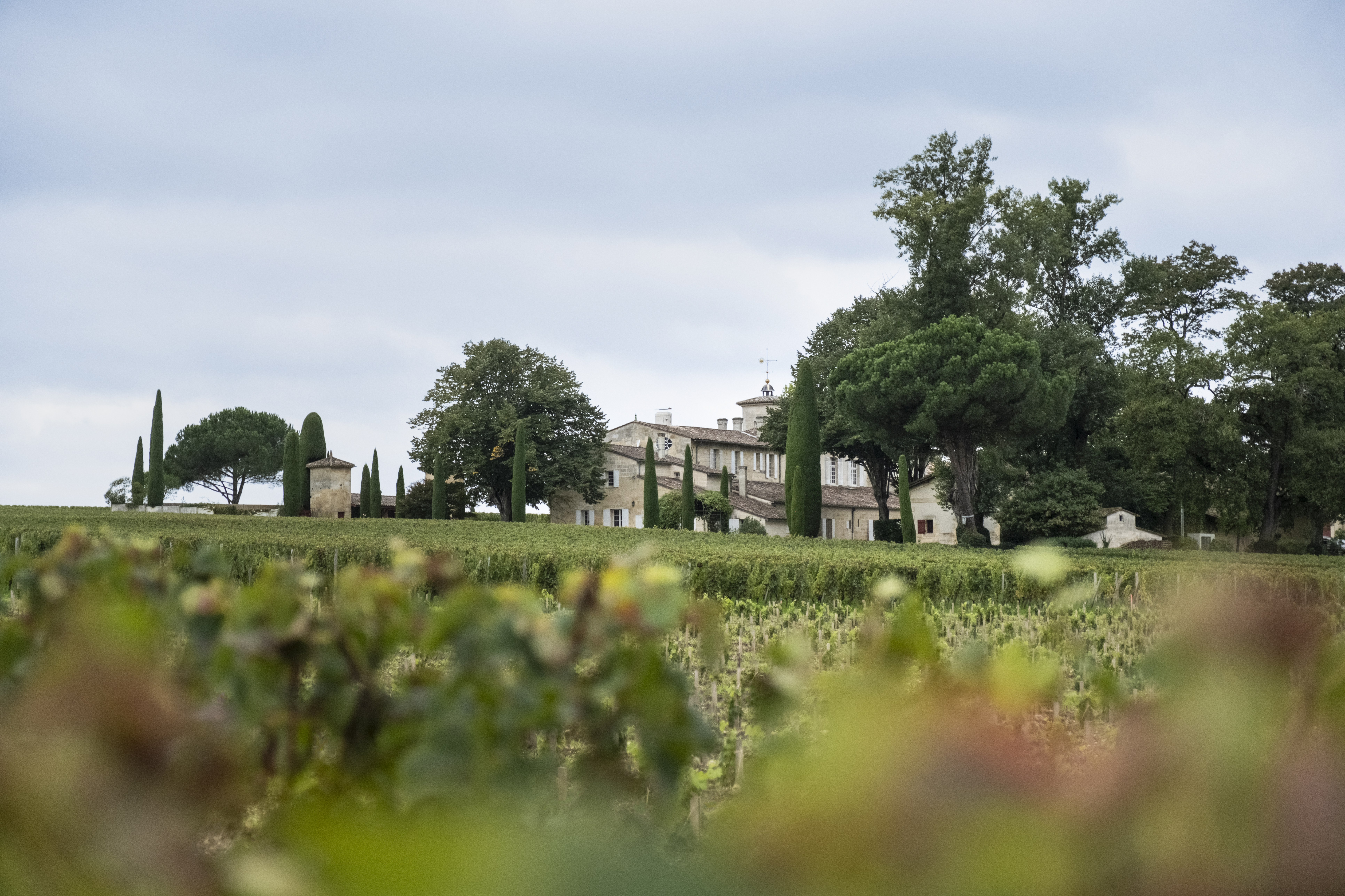 Château Gazin