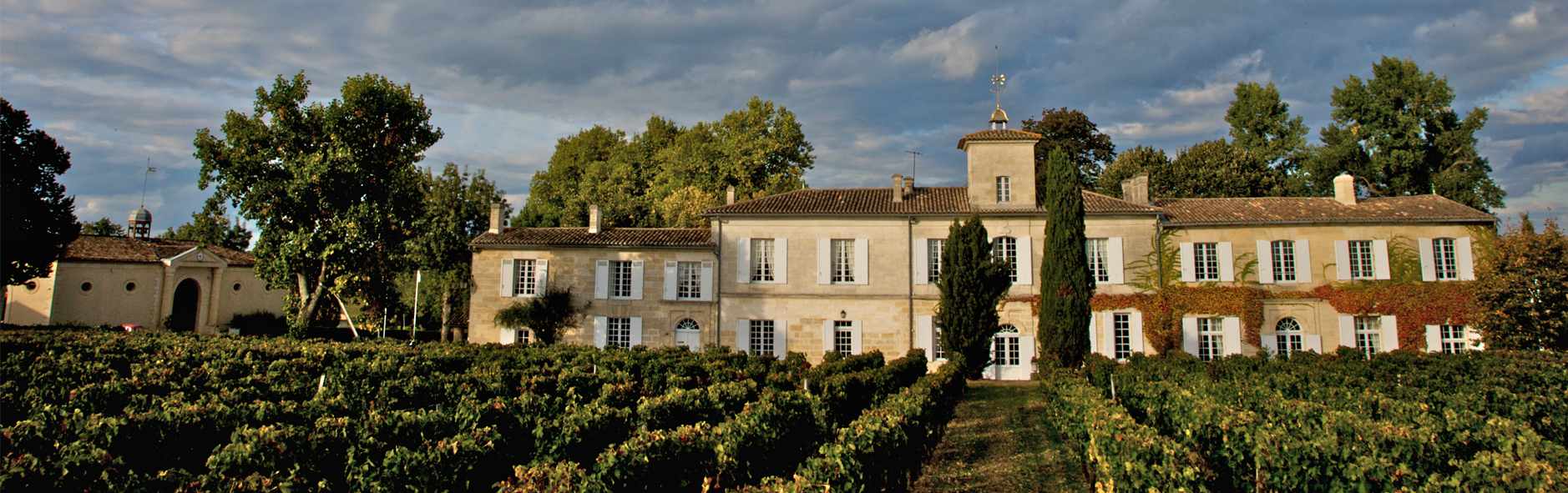 Château Gazin — photo 6