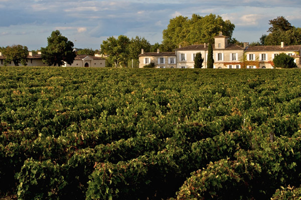 Château Gazin — photo 3