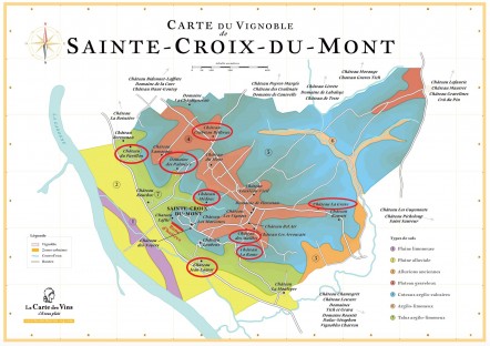 Vignoble Tinon — photo 2