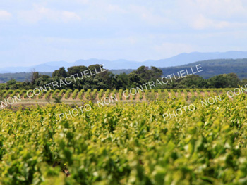 Domaine de charme : Gîtes, chambres d'hôtes et oenotourisme