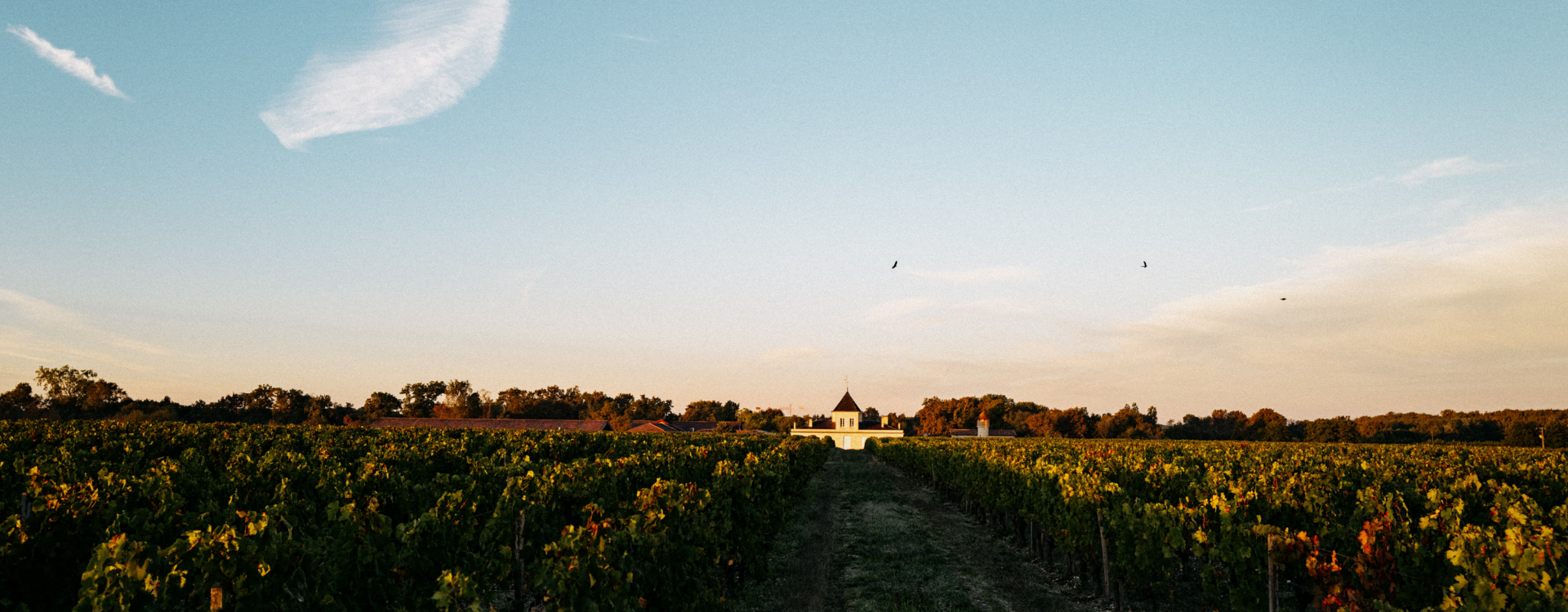 Château Brane-Cantenac — photo 4
