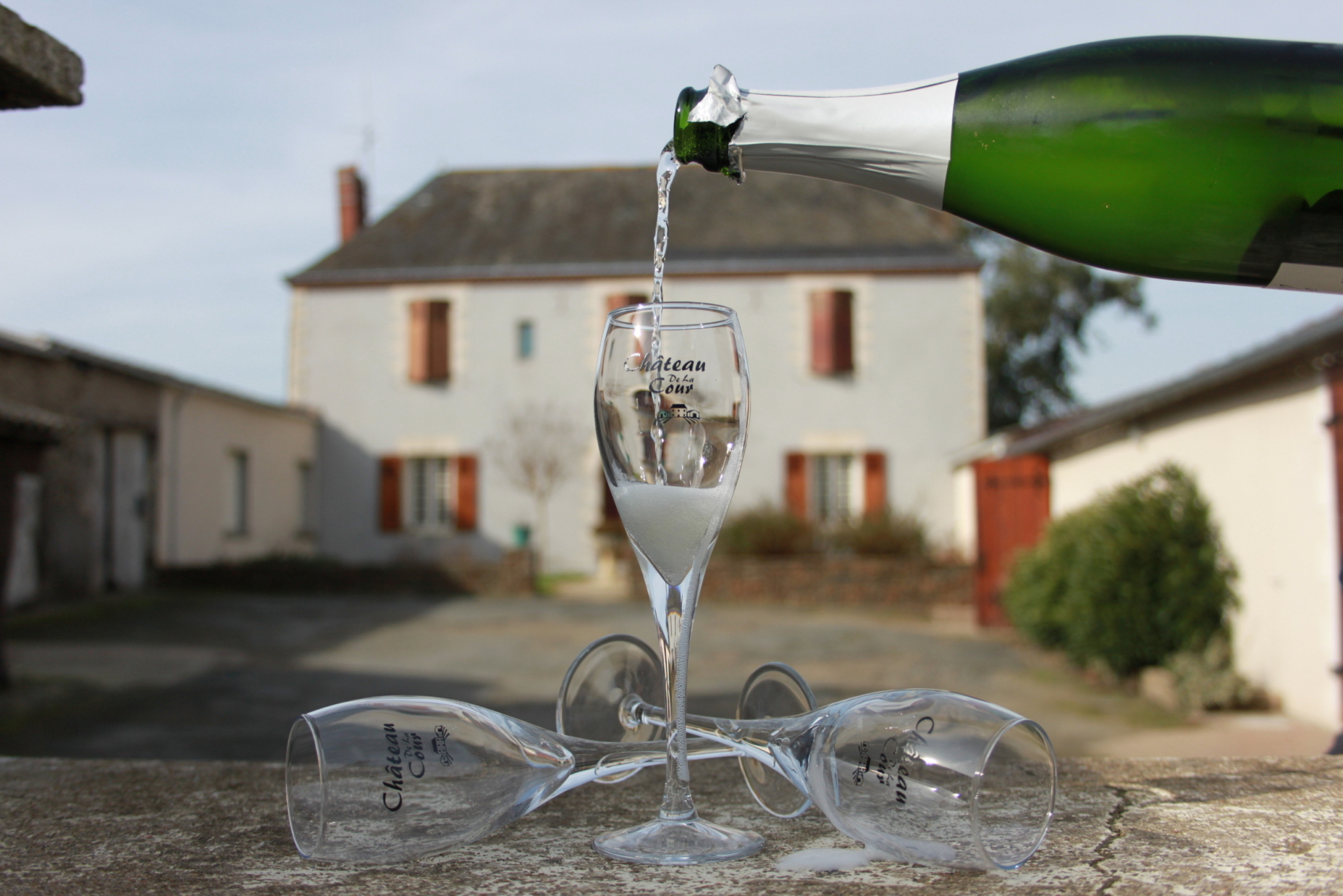 Château de la Cour — photo 4