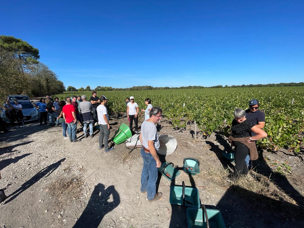 image Vendanges