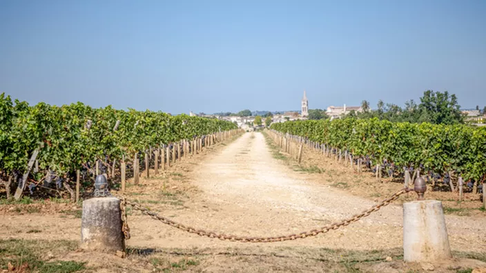 Château Troplong Mondot — photo 12