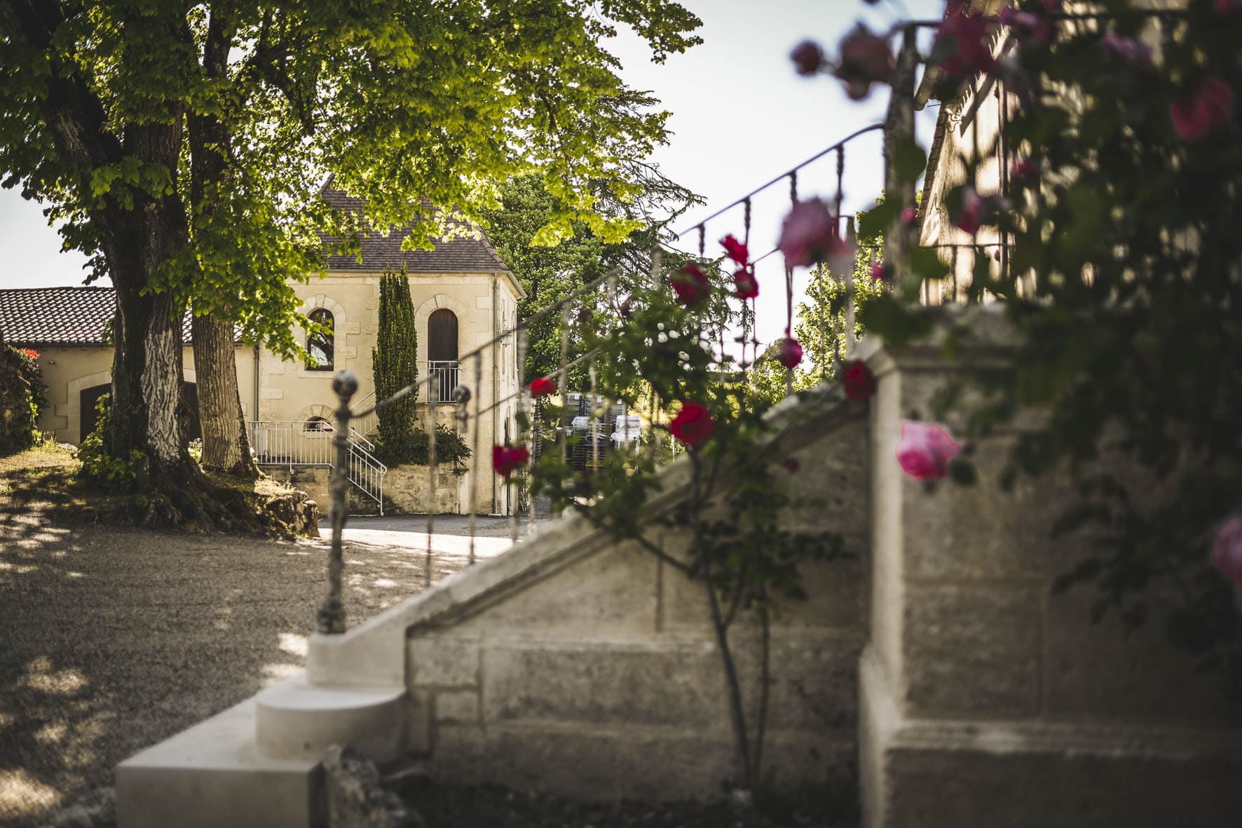 Château Tour Baladoz — photo 3