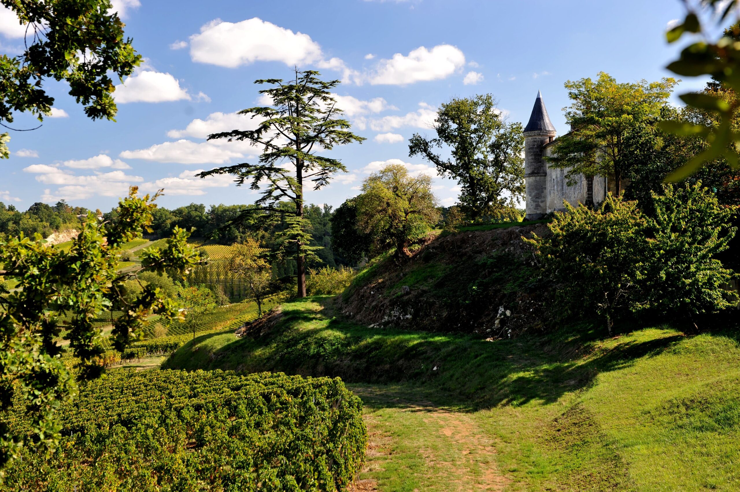 Château Tour Baladoz - Saint-Émilion Grand Cru