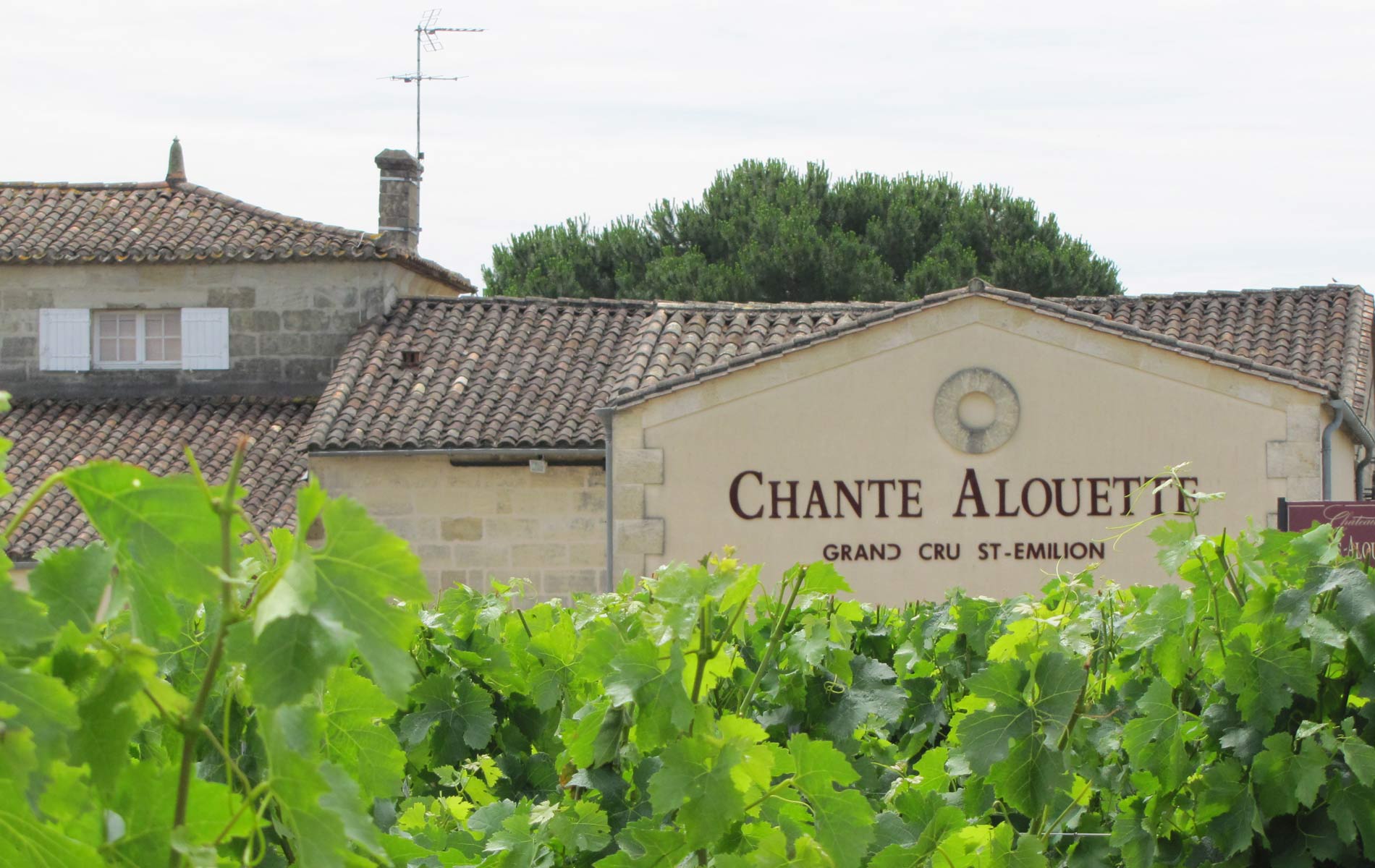 Château Chante-Alouette — photo 6