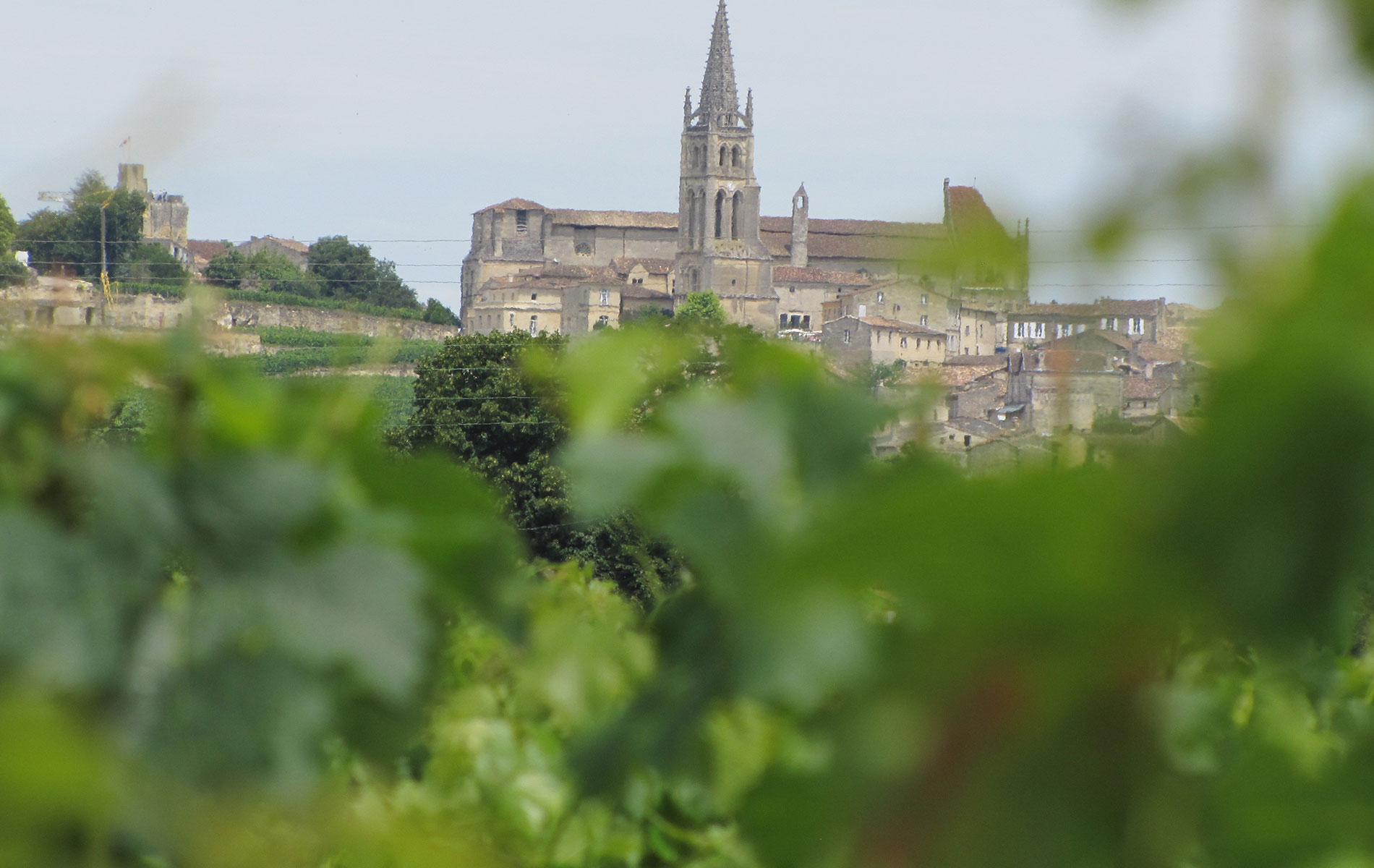 Famille vigneron