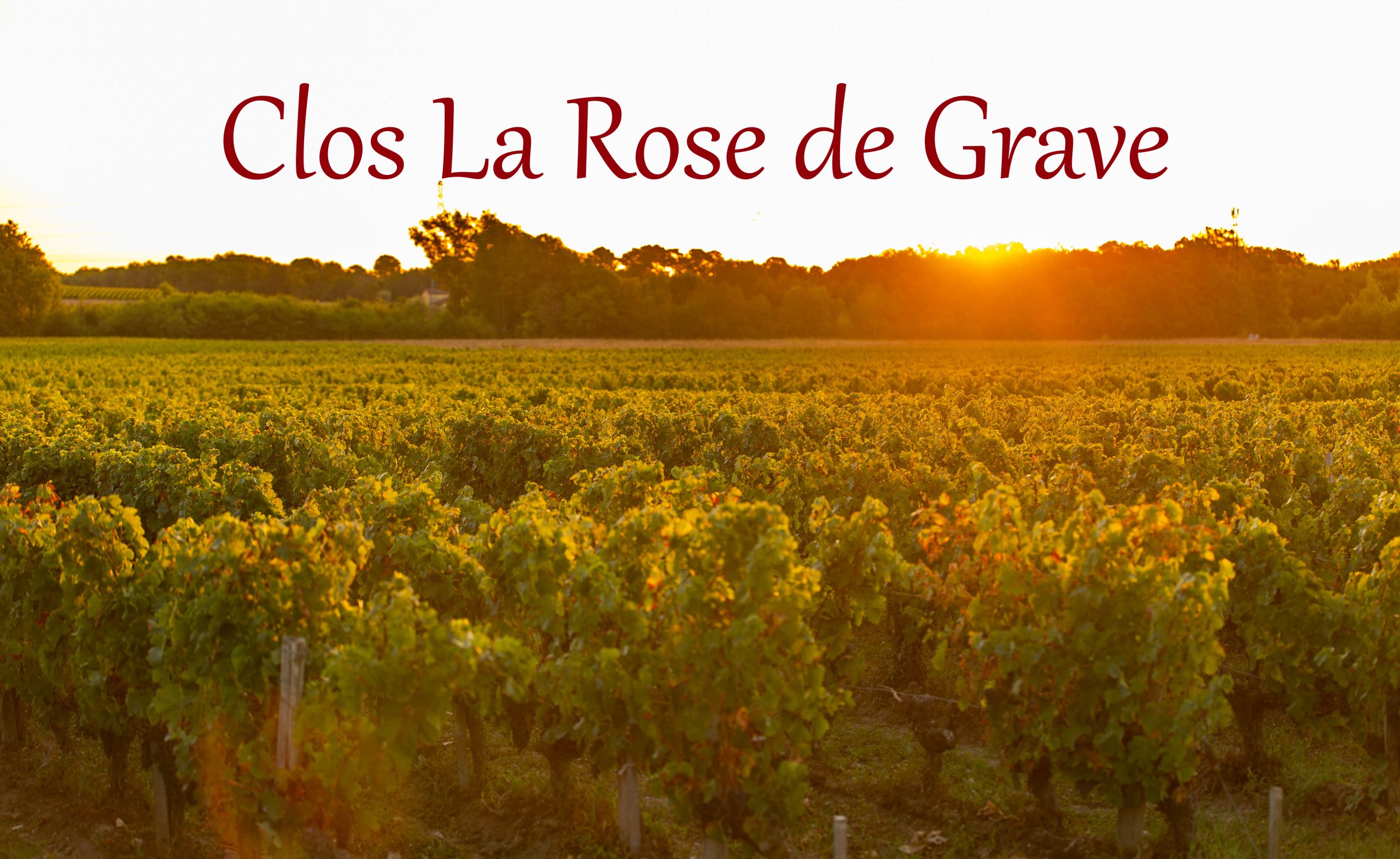 Clos la Rose de Grave