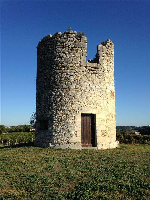 Château Canon-Pécresse — photo 3