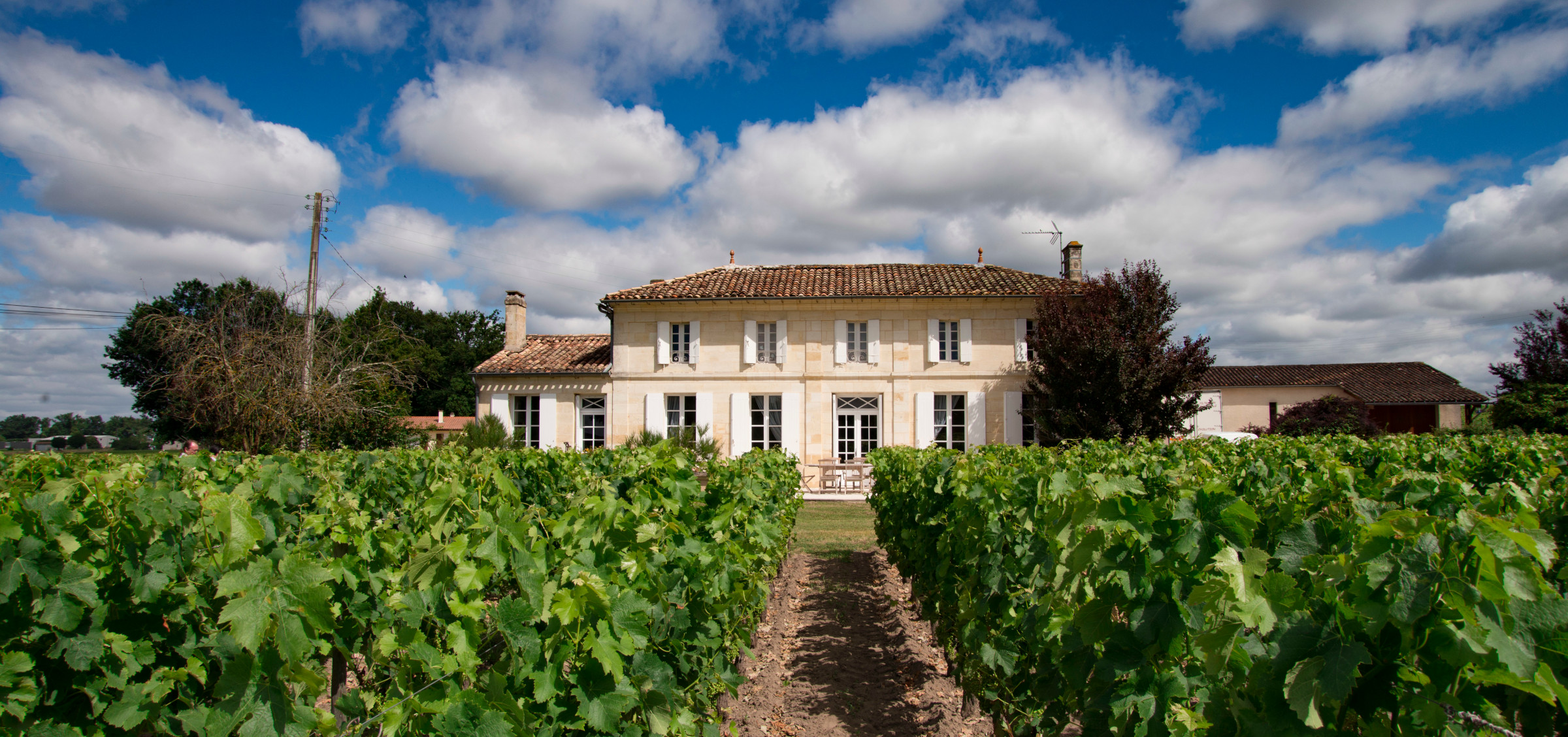 Château Patris — photo 5